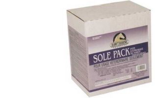 Tmel desinfekční Sole Pack
